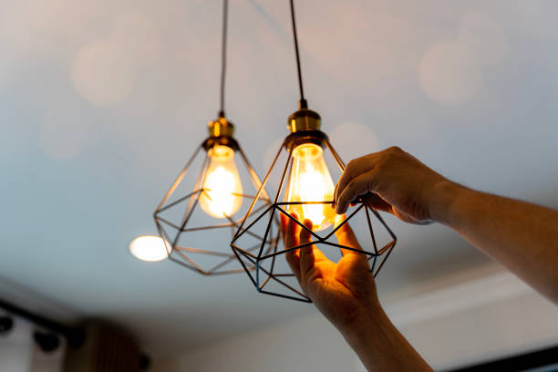 Best Electrician for Home Renovation  in Danville, AR
